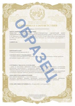 Образец Сертификат СТО 01.064.00220722.2-2020 Салым Сертификат СТО 01.064.00220722.2-2020 